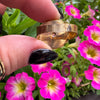 '70s PISCES ZODIAC ADJUSTABLE RING