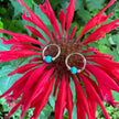 MINI TURQUOISE & STERLING HUGGIES