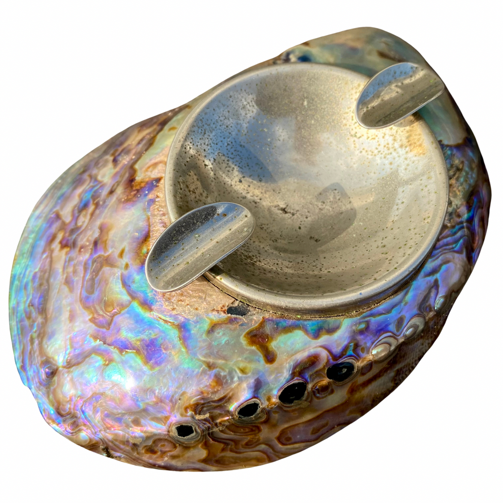 PAUA ABALONE SHELL ASHTRAY – YES AND GOODS LLC