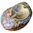 PAUA ABALONE SHELL ASHTRAY