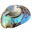 PAUA ABALONE SHELL ASHTRAY