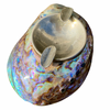 PAUA ABALONE SHELL ASHTRAY