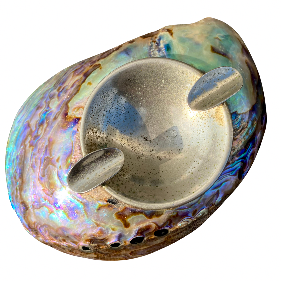 PAUA ABALONE SHELL ASHTRAY