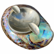 PAUA ABALONE SHELL ASHTRAY