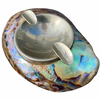 PAUA ABALONE SHELL ASHTRAY